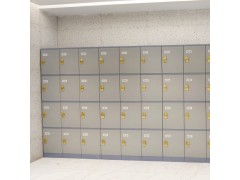 浴室澡堂ABS塑料更衣柜|ABS浴室柜|宿舍健身房全塑储物柜图4