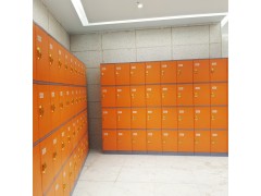浴室澡堂ABS塑料更衣柜|ABS浴室柜|宿舍健身房全塑储物柜图3