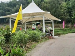 厂家定制膜结构汽车 停车棚 球场雨棚 学校看台张拉膜 景观棚图8