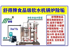 优质重器软水机服装厂整烫设备纱厂印染农村供暖等蒸汽锅炉除垢器图3