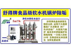 优质重器软水机服装厂整烫设备纱厂印染农村供暖等蒸汽锅炉除垢器图4