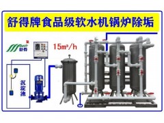 原水处理设备食品级软水机供暖锅炉热电厂高压锅炉反渗透预处理图2