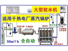 原水处理设备食品级软水机供暖锅炉热电厂高压锅炉反渗透预处理图4