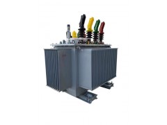 S20-BM-30/10  30KV 铁路信号变压器图4