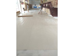 广东深圳批发塑胶地板pvc卷材地板PVC幼儿园用地板厂家图4