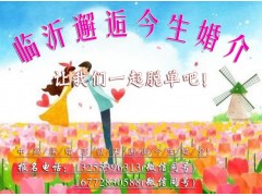 临沂婚介，兰山区婚介，罗庄区婚介，河东区婚介，郯城市婚介图2