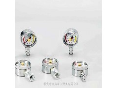 青海省BZY-60综采支架双针压力表图2