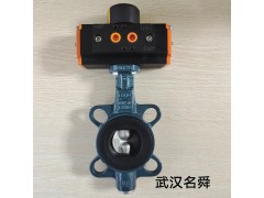 原装德国罗EBRO依博罗原装正手动蝶阀Z011-A DN80图3