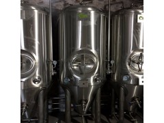 500升小型精酿啤酒设备酒馆自动化啤酒生产设备图5
