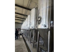 供应南京啤酒厂大型自动化精酿啤酒设备 年产1000吨啤酒设备图2