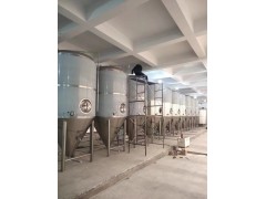 抚顺小啤酒厂产量6吨的精酿啤酒酿造设备啤酒发酵罐酿酒设备图3