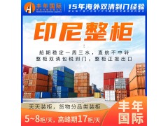 印尼双清到门 广州到雅加达门到门海运拼箱图2